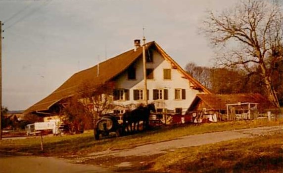 Krone 1976