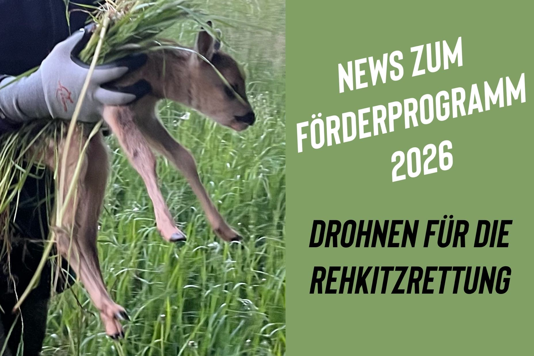 Förderprogramm 2026 Kitzrettung