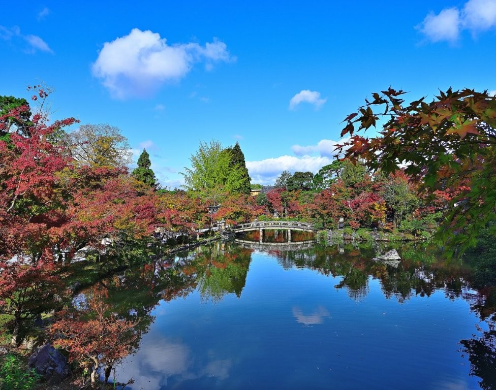 秋の京都（１）田淵　収の提供