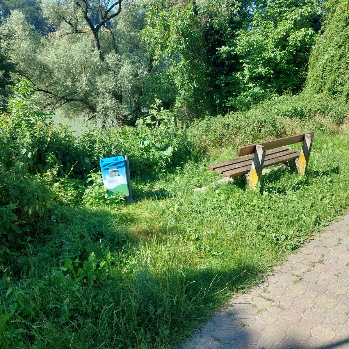 Ausmähen der Rastbank am Schallenbergerweg