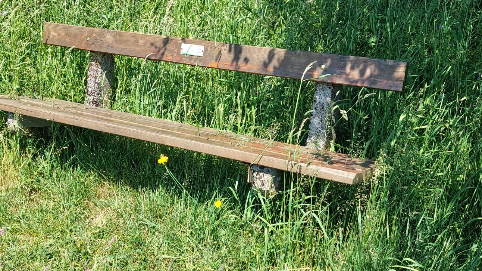 Taberger- und Reisingerweg