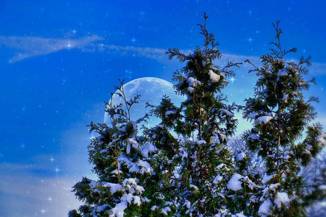 Prières pour bénir votre  sapin de Noël