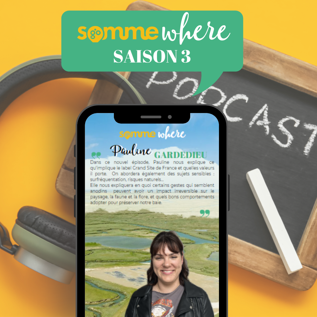 SOMME'WHERE : SAISON 3