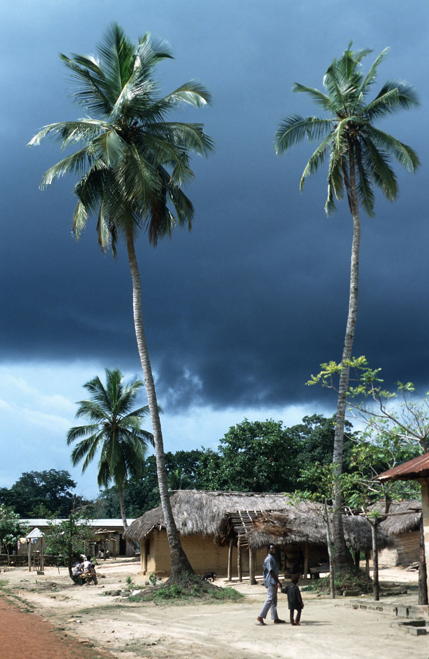 Ghana: Dörfchen Akofieve