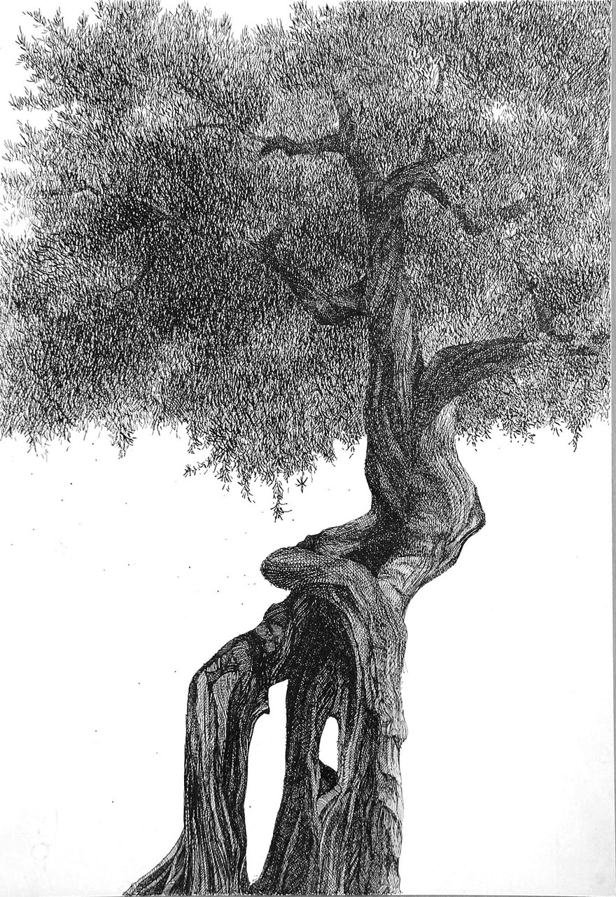 Galleria Benvenuti Su Francodanna Pittore