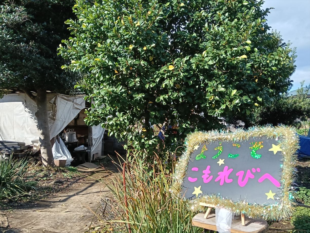 畑の収穫祭と航空ショー