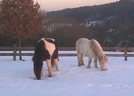 Winterglück