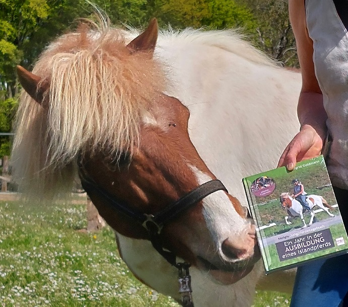 Die Geschichte hinter dem Jungpferdetagebuch, Teil Acht: Die ersten Monate nach der Veröffentlichung