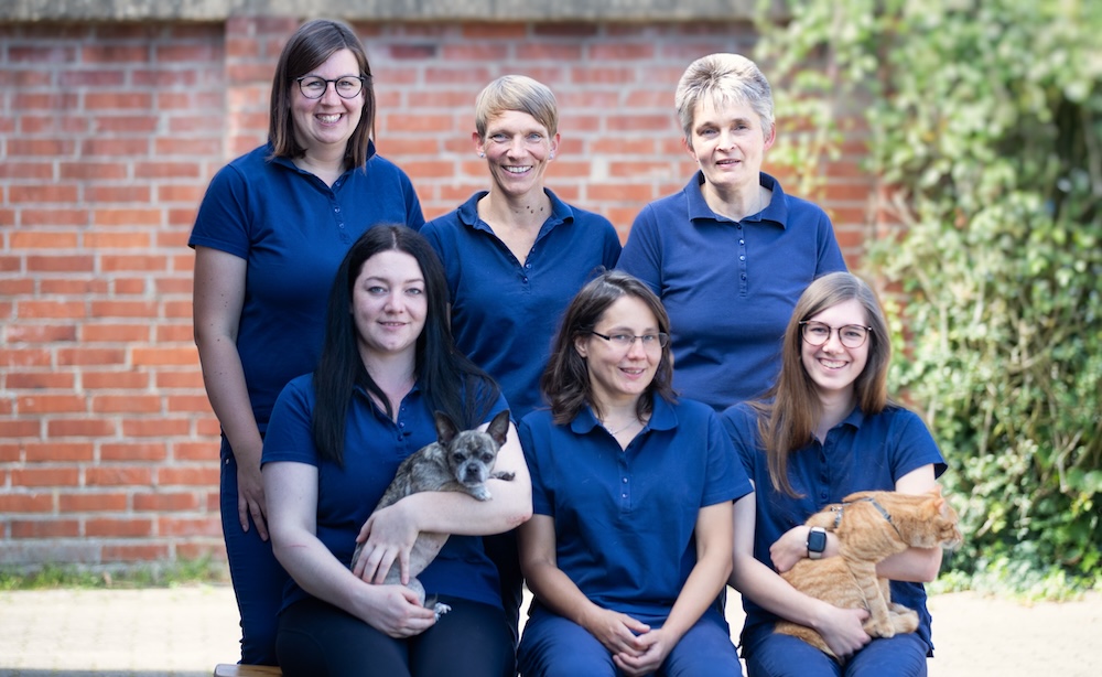 Tierarztpraxis An Der Kaiserstraße Mülheim Jennifer Hochgesang Das Team der Tierarztpraxis Uelzen City - meneguanas Webseite!