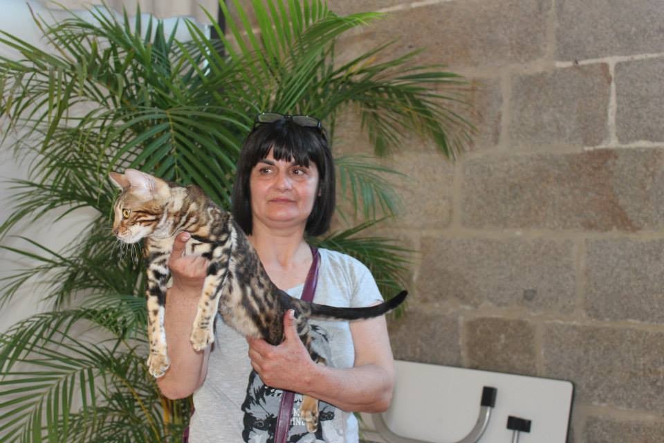 Exposicion felina de Issoire (francia) abril 2015