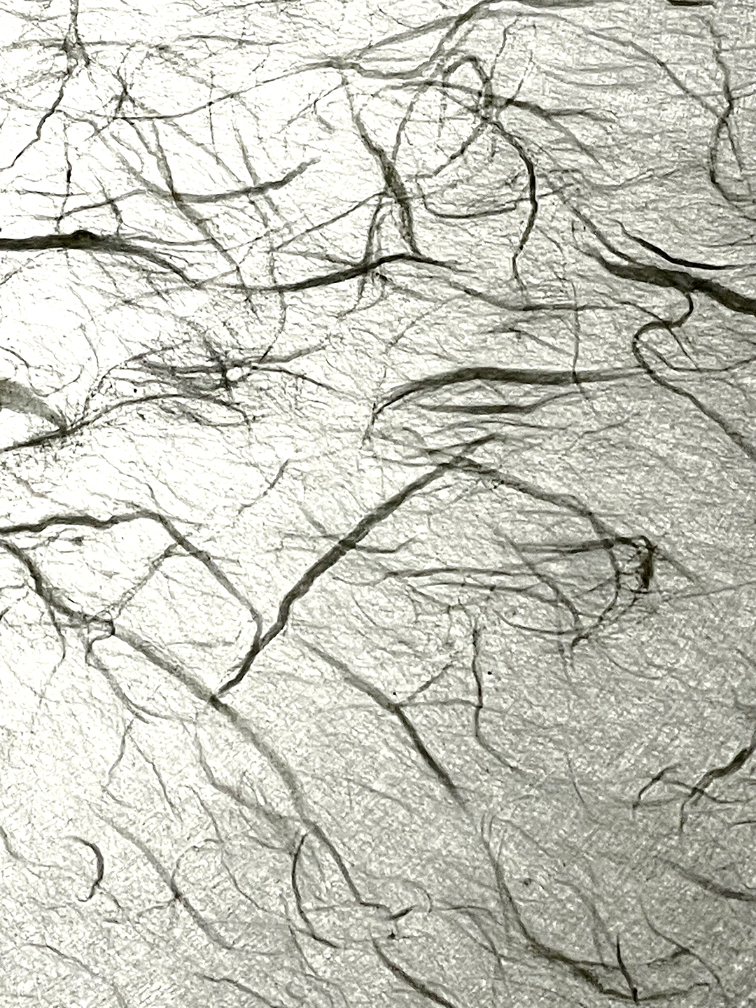 "Fibres végétales"