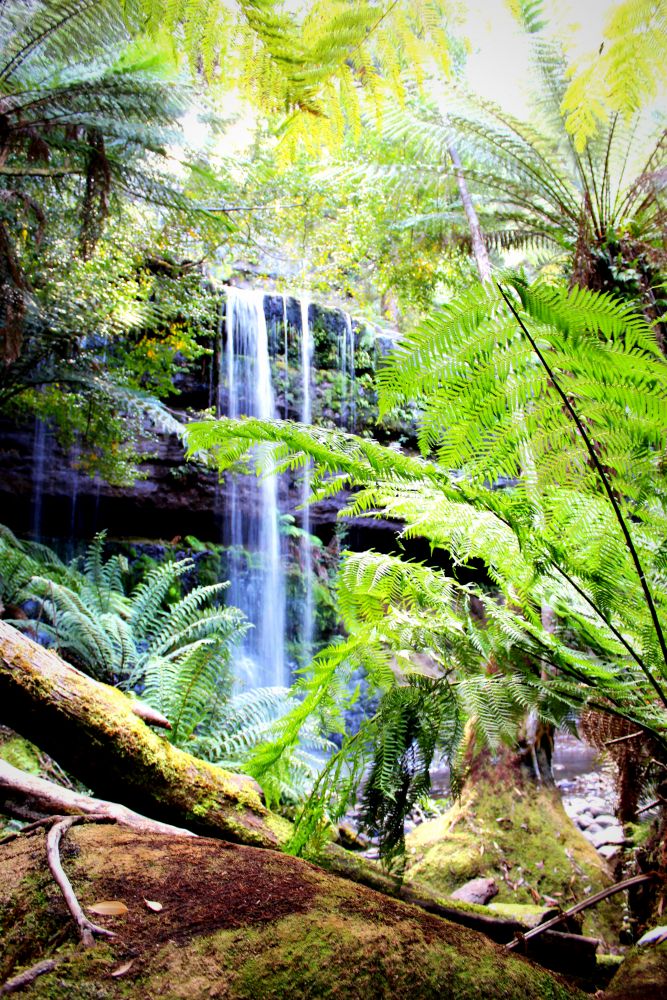 Mount-Field-Nationalpark, Tasmanien