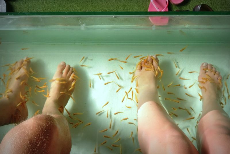 Fish Spa, Koh Samui, Thailand, Die Traumreiser