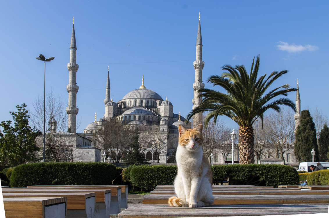 Istanbul