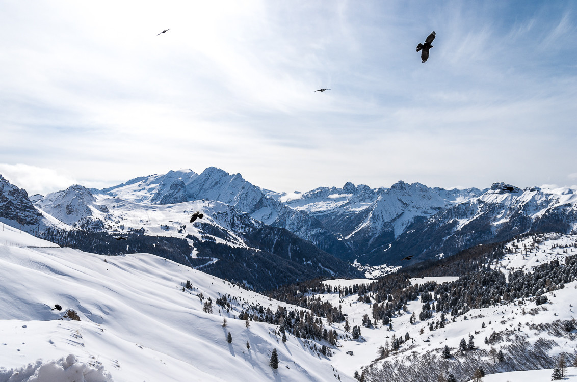Sellapass