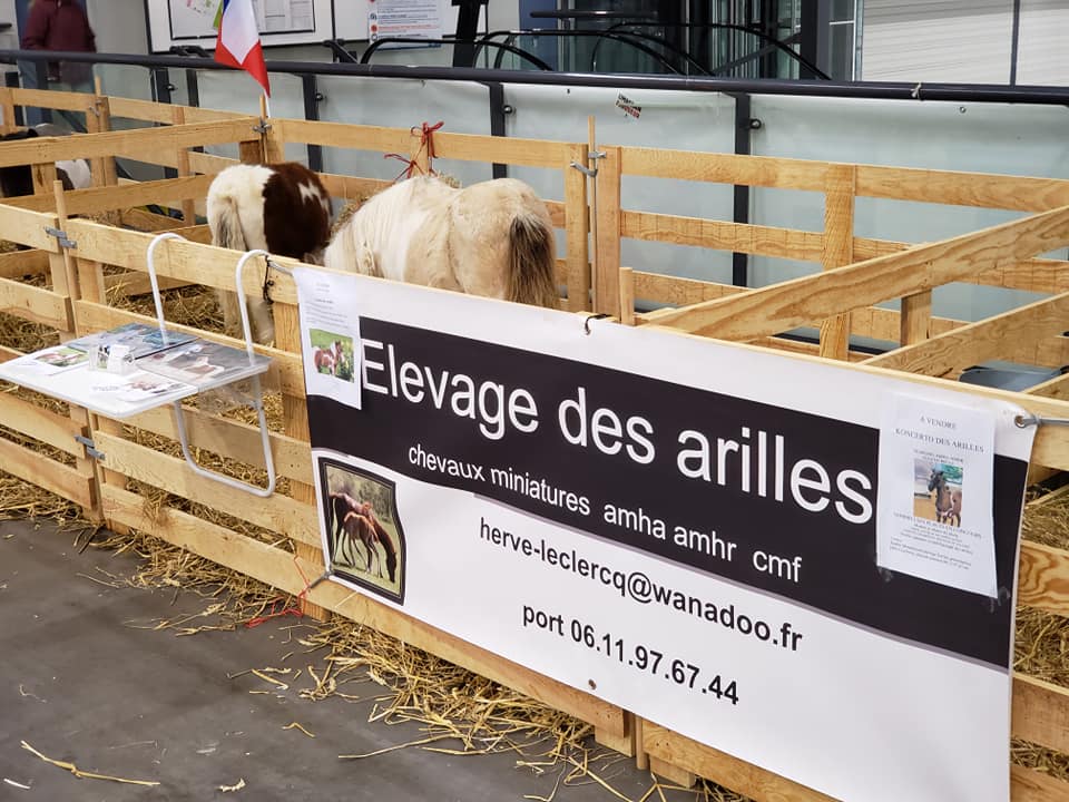 Salon du cheval d'Angers 2021