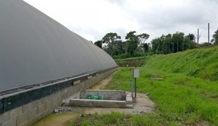 Biodigestor para gallinaza pura - aprovechamiento de guano en biodigestores / digester chicken droppings - manure