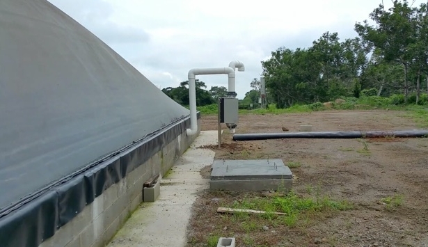 Biodigestor para gallinaza pura - aprovechamiento de guano en biodigestores / digester chicken droppings - manure