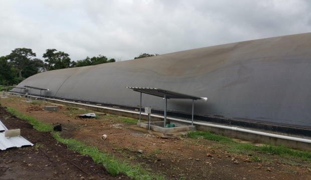 Biodigestor para gallinaza pura - aprovechamiento de guano en biodigestores / digester chicken droppings - manure