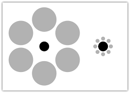 ex:L' illusion d'Ebbinghaus/ de Titchener où les deux cercles noirs sont de la même taille, mais celui entouré de petits objets parait plus gros que celui entouré de gros objets. L'environnement du cercle a influencé notre perception des grosseurs.