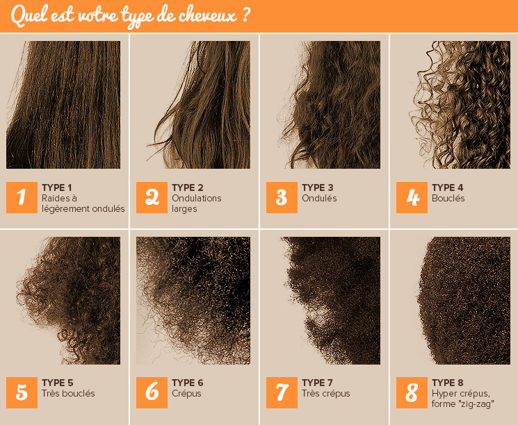 Quel Type De Cheveux Attire Les Poux la peau, le cuir chevelu - Site de bvcoiftec