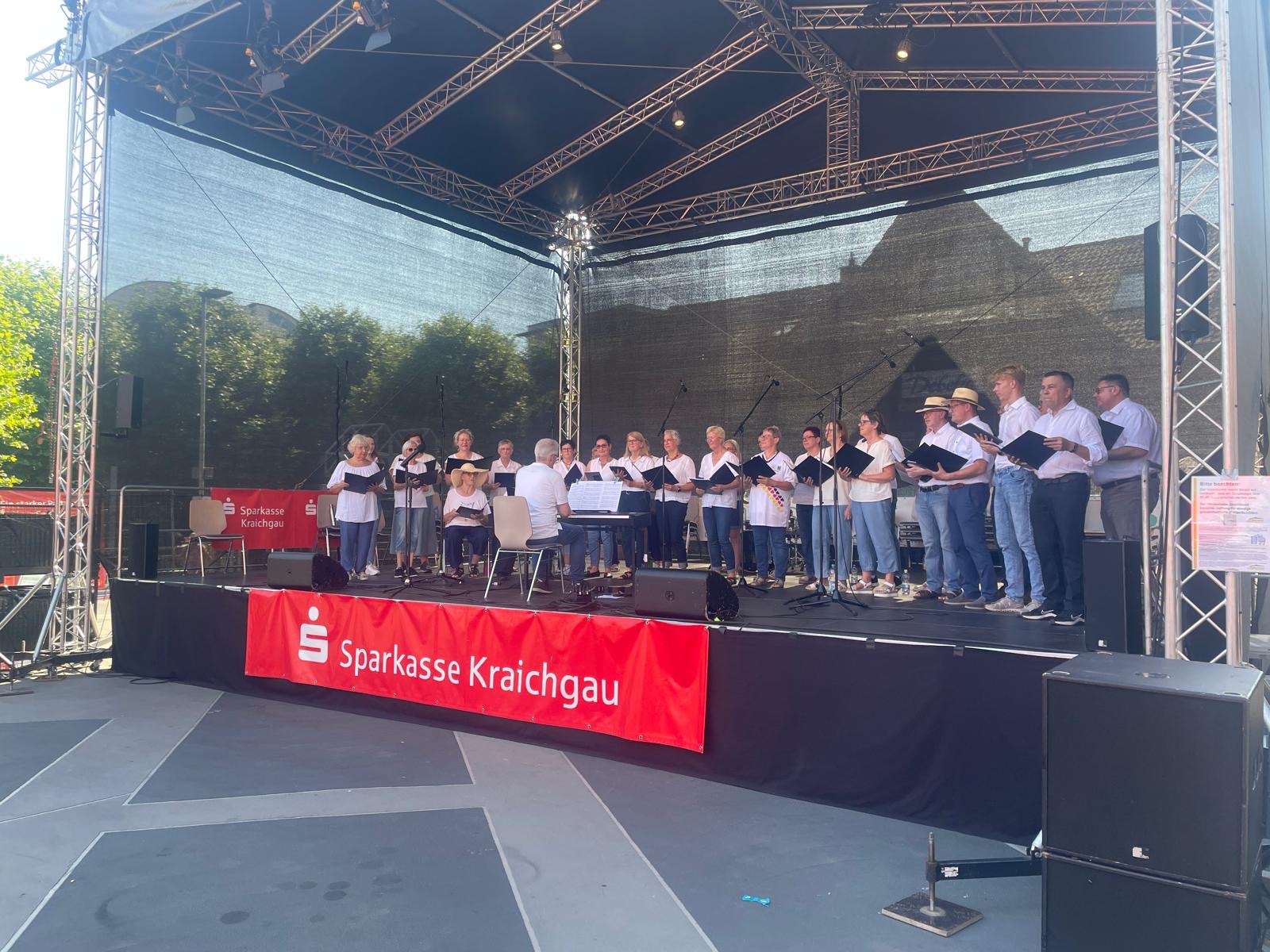 Landesmusikfestival in Sinsheim 20.06.26