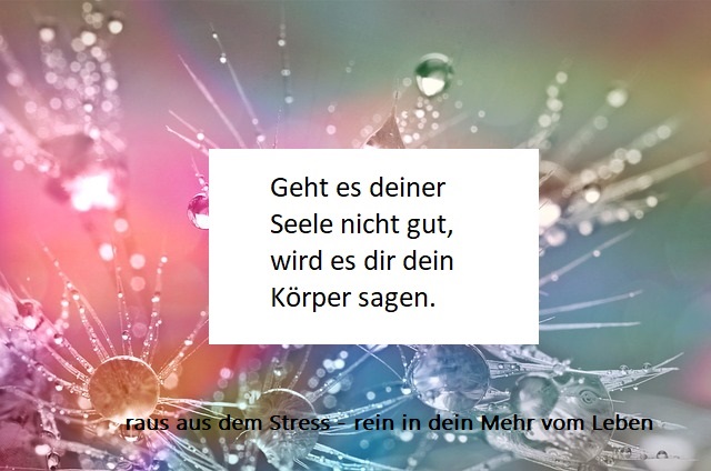 Pastellfarben im Hintergrund, Blumen mit Wassertröpfchen und dem Spruch: Geht es deiner Seele nicht gut, wird es dir dein KÖrper sagen. und raus aus dem STress - rein in dein Mehr vom Leben