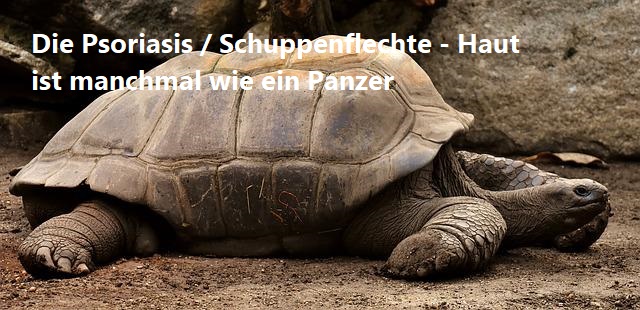 Große Schildkröte auf einem Sandstrand. Psychotherapie Spiritualität, Rosacea, Neurodermitis, Psoriasis, Lichen Sklerosus, Akne Inversa, EMDR, Hypnose, Ichthyosis