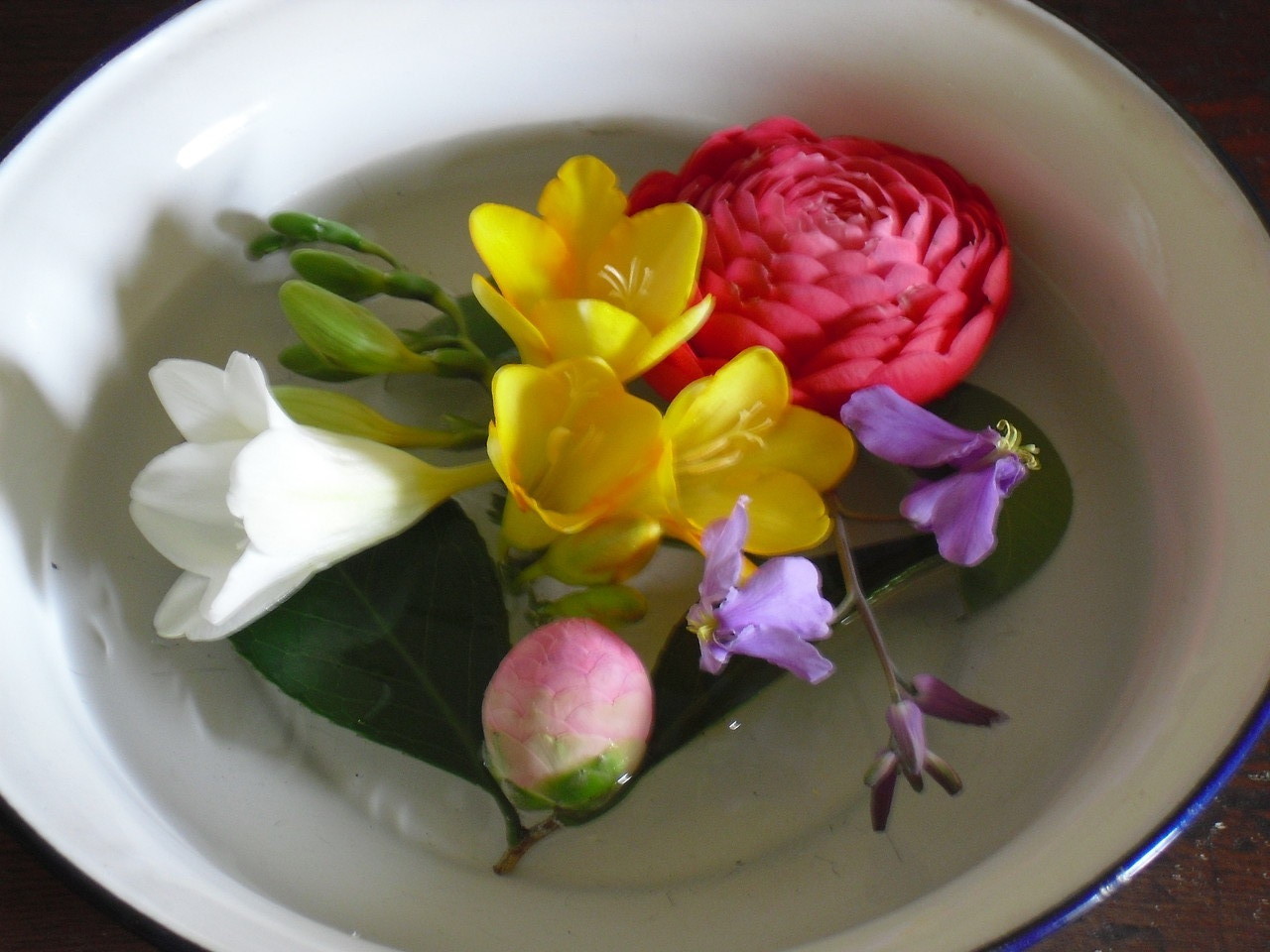 gift from plants