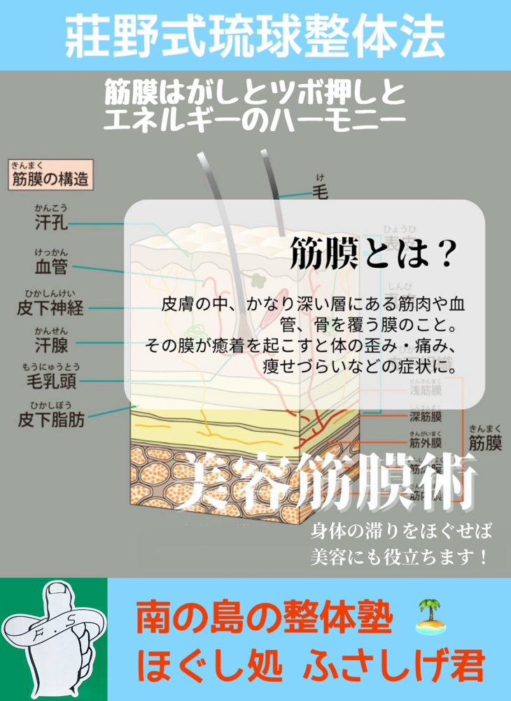 血管にも神経にも膜がある