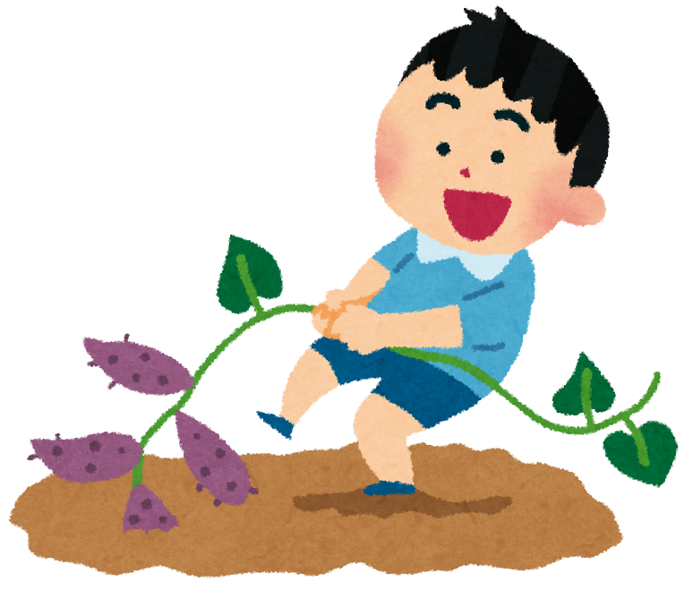 10月27日のサツマイモ堀りは満員御礼！