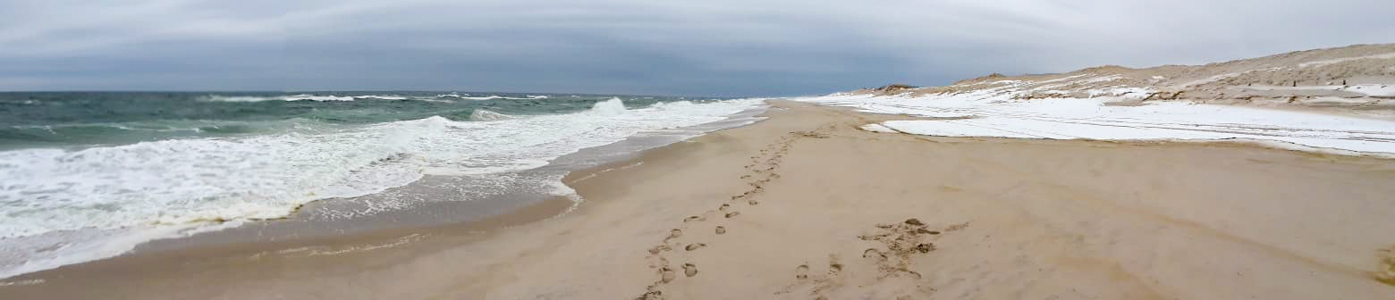  Island Beach State Park, NJ sous la neige