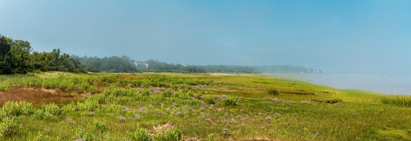 Long Audubon Pasture. Crédit Photo @Ulysse