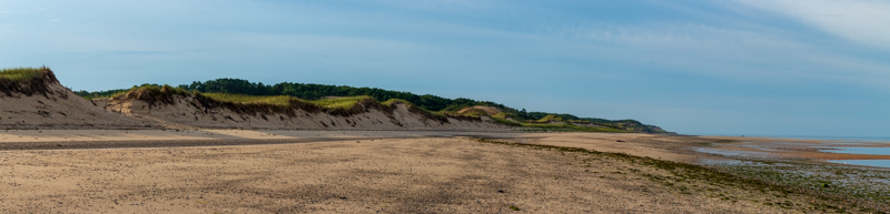 Chemin des dunes. Crédit photo @Ulysse