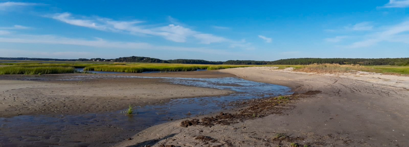 Mass Audubon Wellfleet Bay Wildlife Sanctuary. Crédit photo @Ulysse