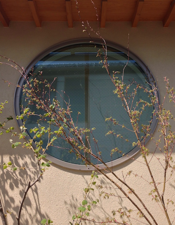 2014.04.12 丸窓と植栽。