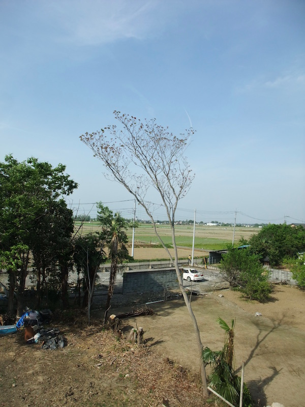 2016.04.26 屋根からの広大な眺め.広い空です.