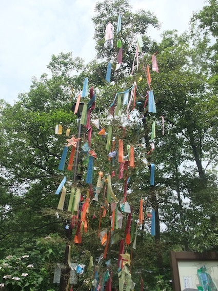 2013.06.25 現場近くで見かけた石神井公園の七夕飾り