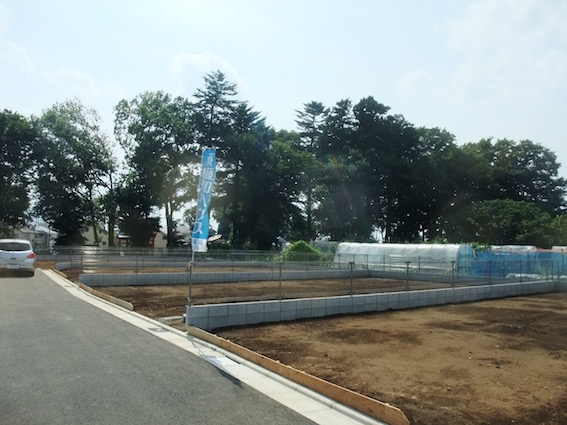 20140722 現地調査。大きなケヤキが重要なヒントとなった計画。