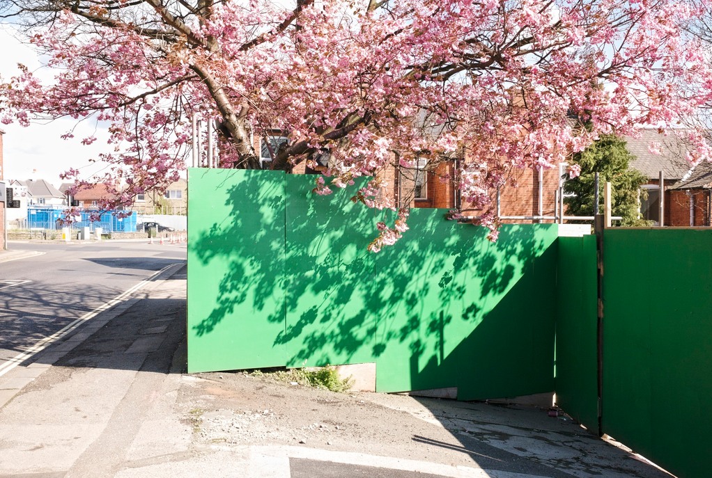 Green Hoarding