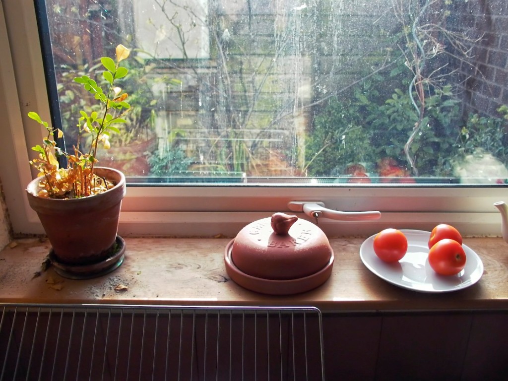 Ripening Tomatoes