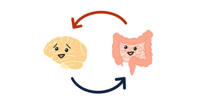 腸脳相関のイラスト｡腸で作られるセロトニンと脳･自律神経の関係を示す図