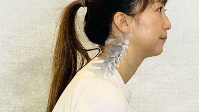 ストレートネックの姿勢と頚椎のイラスト