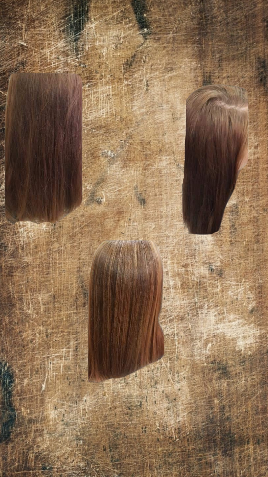 Highlights 