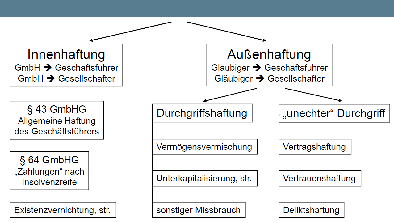 Geschäftsführerhaftung SALUS law Insolvenzrechts & Strafrechtskanzlei