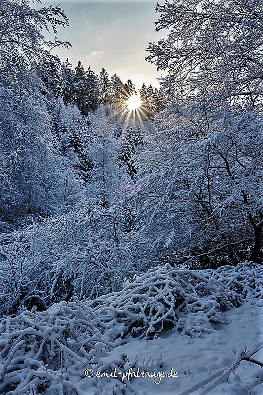 Winter Impressionen in der Langenbach - Richtung Bärenhöhle in Rodalben