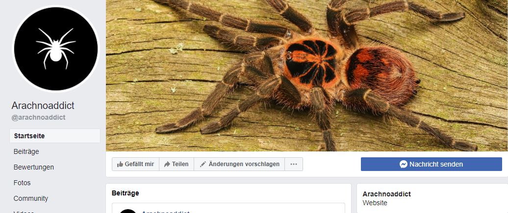 Arachnoaddict jetzt auch bei Facebook!