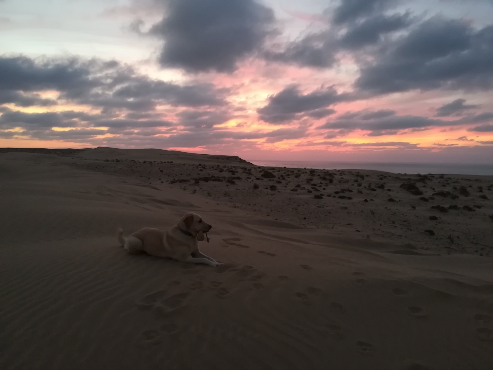 An der Plage Blanche