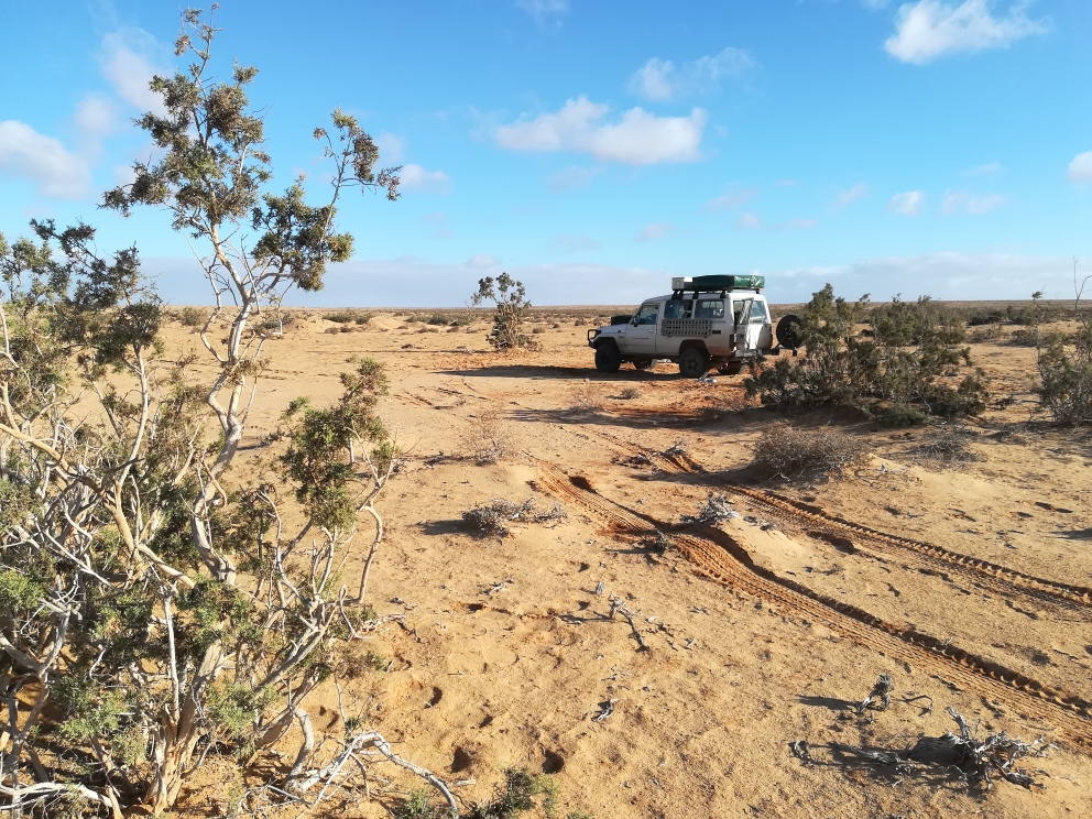 Unser Schlafplatz 20km vor Laayoune