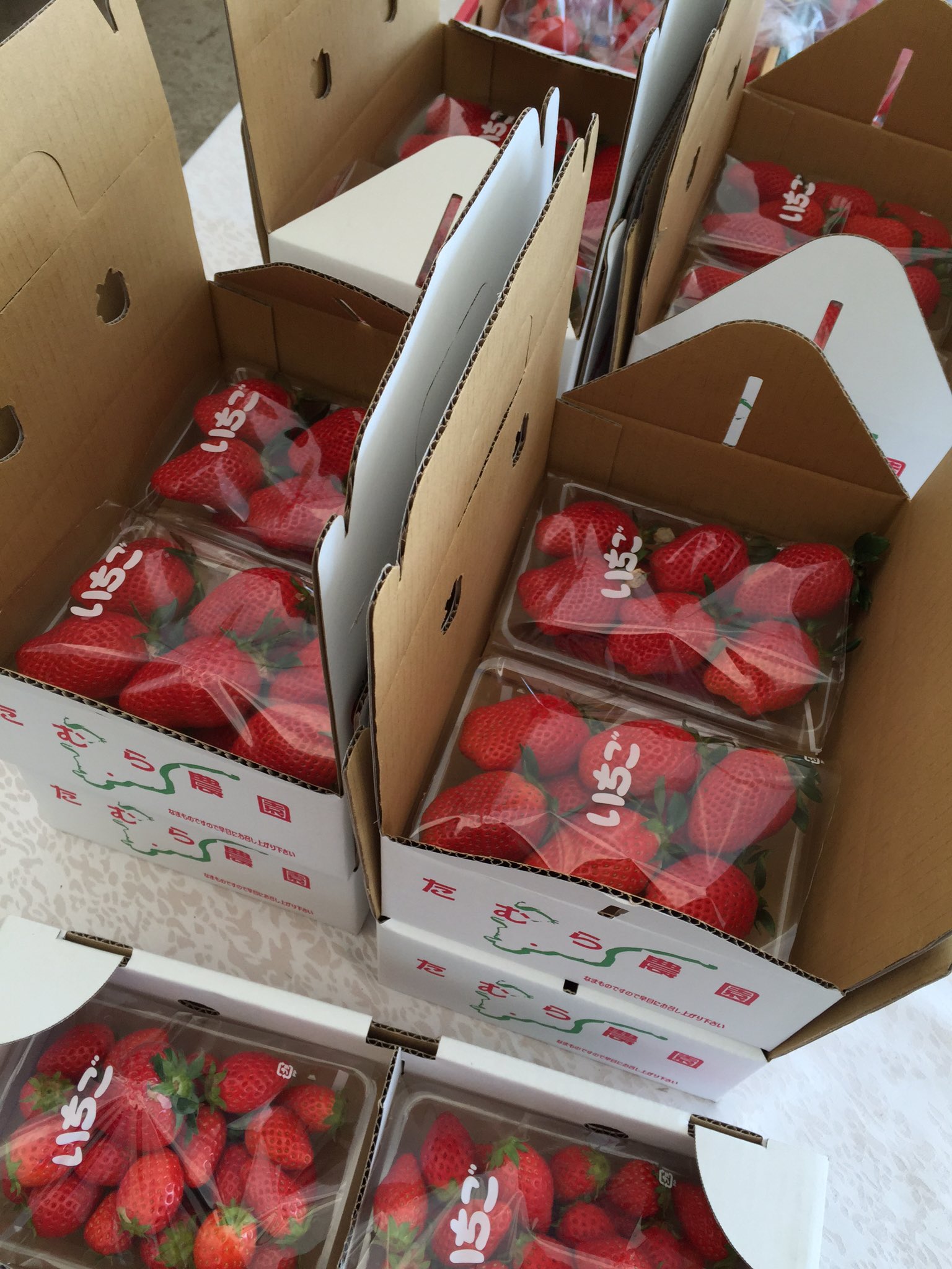 お土産用のイチゴも販売